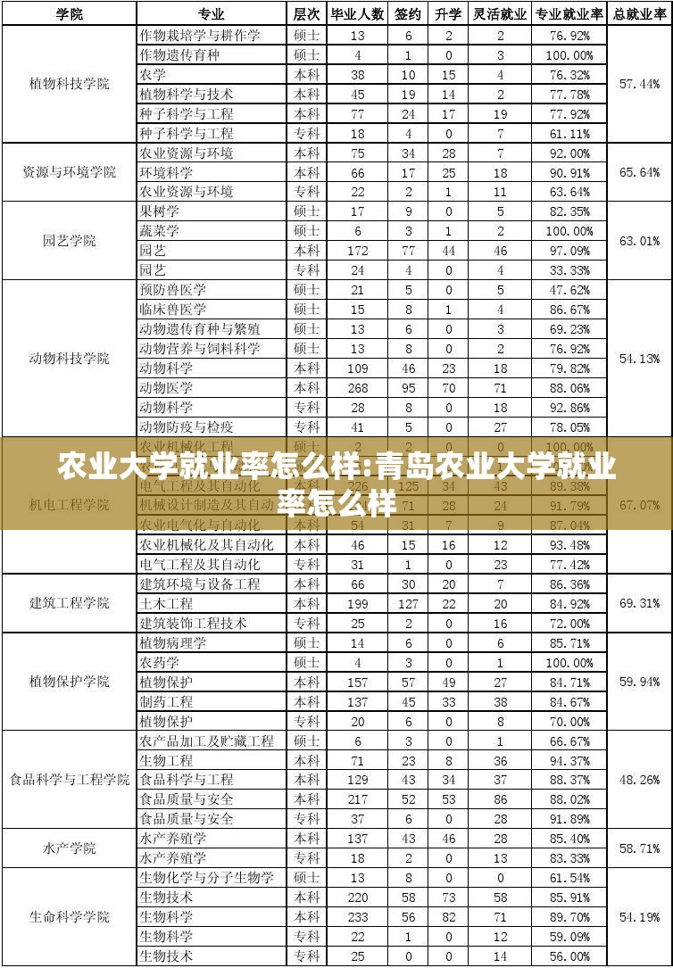 农业大学就业率怎么样:青岛农业大学就业率怎么样