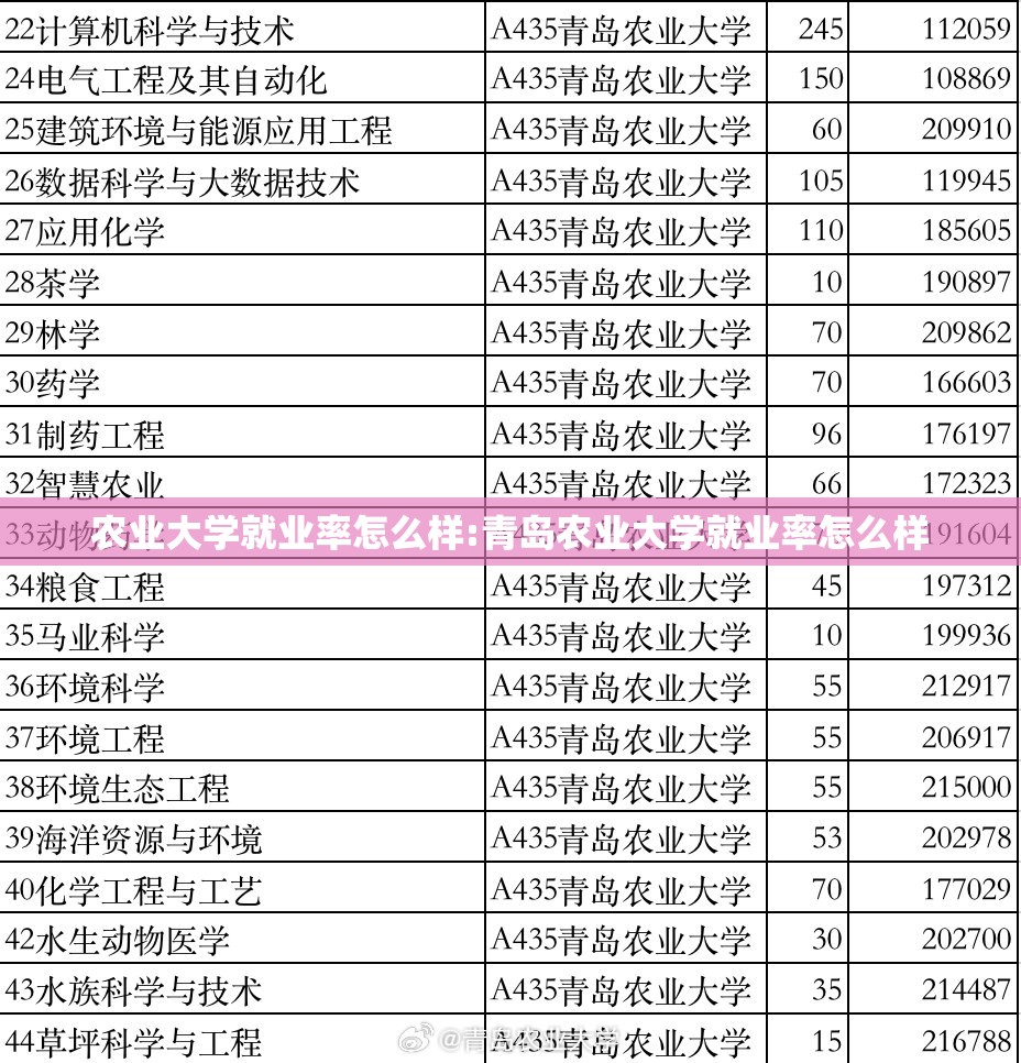 农业大学就业率怎么样:青岛农业大学就业率怎么样