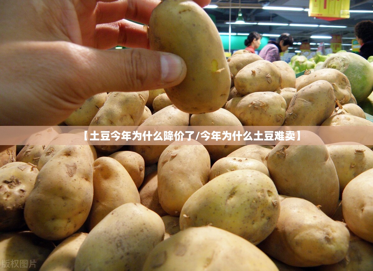 【土豆今年为什么降价了/今年为什么土豆难卖】