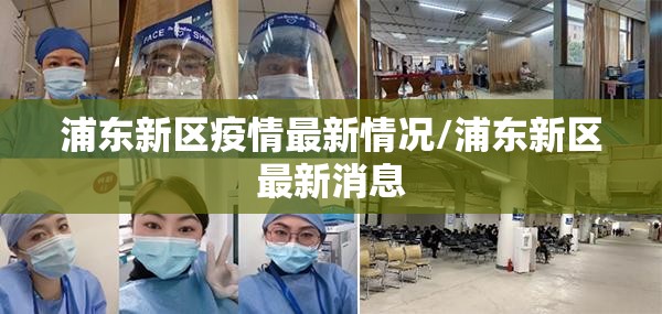 浦东新区疫情最新情况/浦东新区最新消息 浦东新区疫情最新情况/浦东新区最新消息