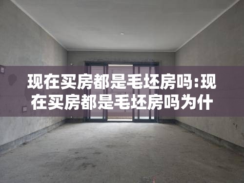 现在买房都是毛坯房吗:现在买房都是毛坯房吗为什么