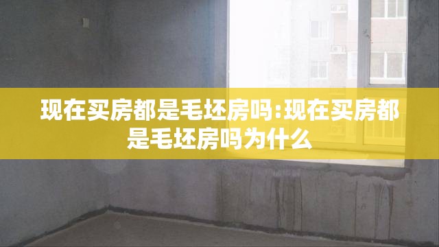 现在买房都是毛坯房吗:现在买房都是毛坯房吗为什么