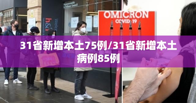 31省新增本土75例/31省新增本土病例85例 31省新增本土75例/31省新增本土病例85例