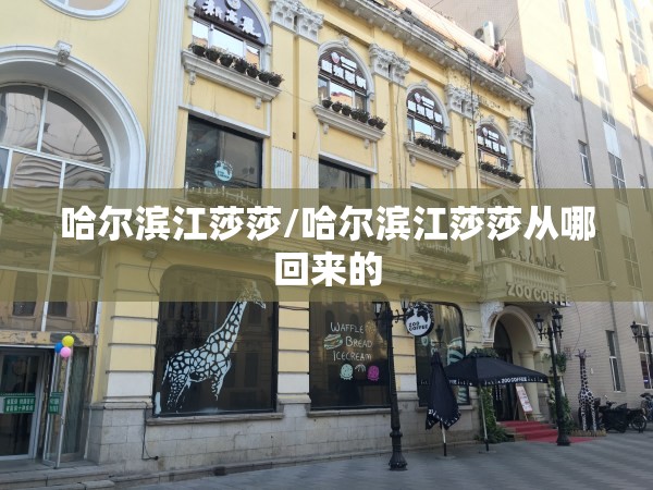 哈尔滨江莎莎/哈尔滨江莎莎从哪回来的