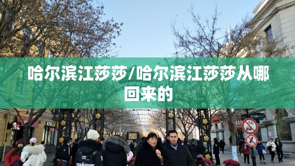 哈尔滨江莎莎/哈尔滨江莎莎从哪回来的