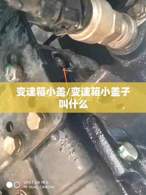 变速箱小盖/变速箱小盖子叫什么