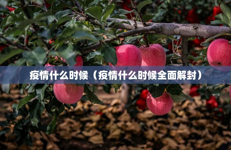 疫情什么时候（疫情什么时候全面解封）