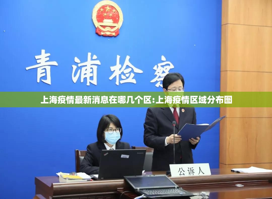 上海疫情最新消息在哪几个区:上海疫情区域分布图