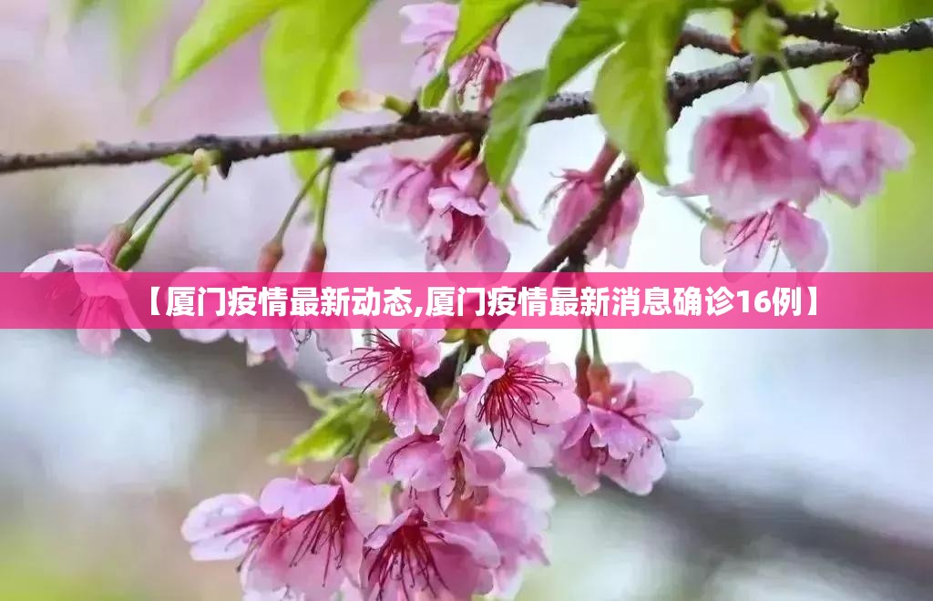 【厦门疫情最新动态,厦门疫情最新消息确诊16例】