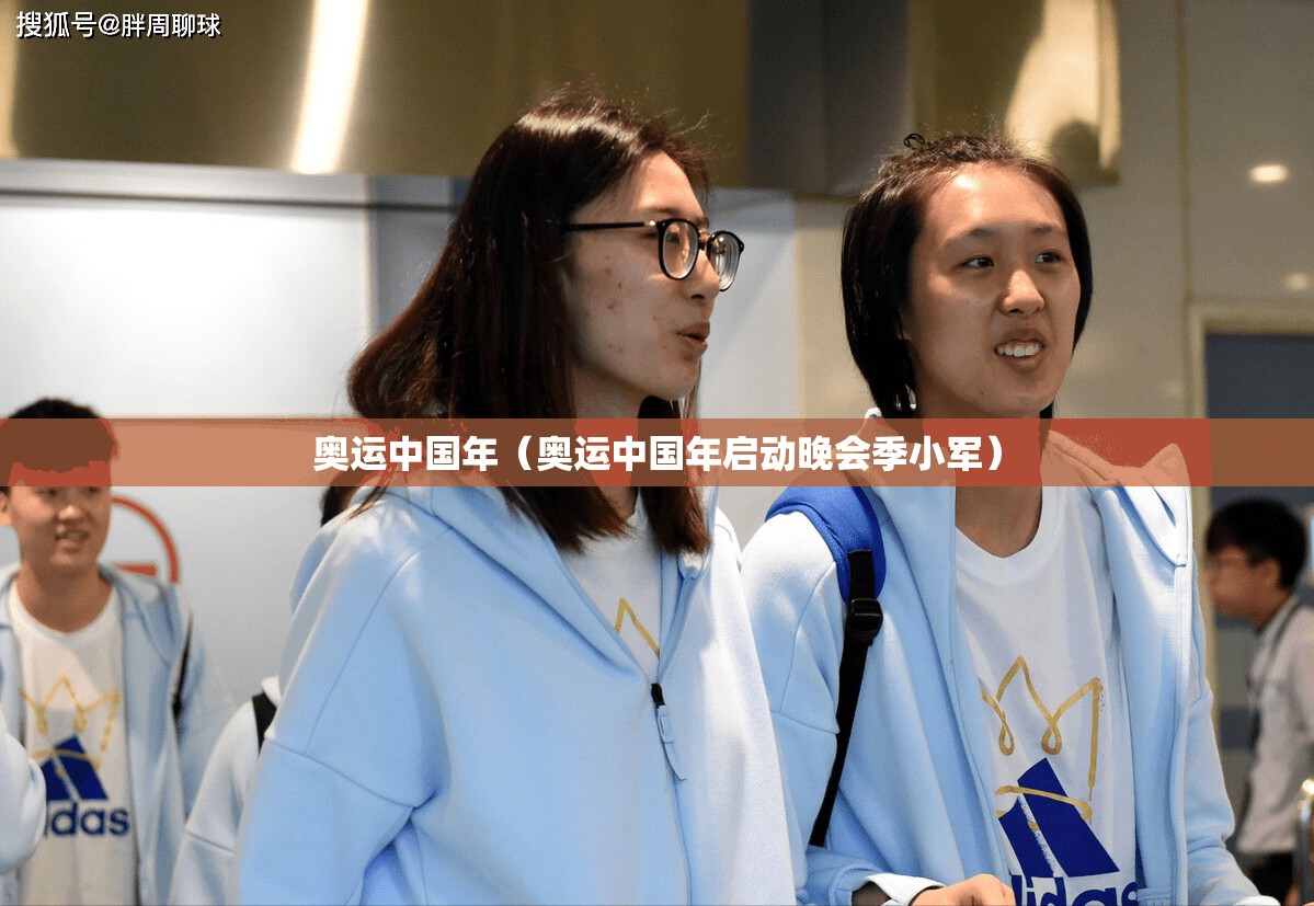 奥运中国年（奥运中国年启动晚会季小军）