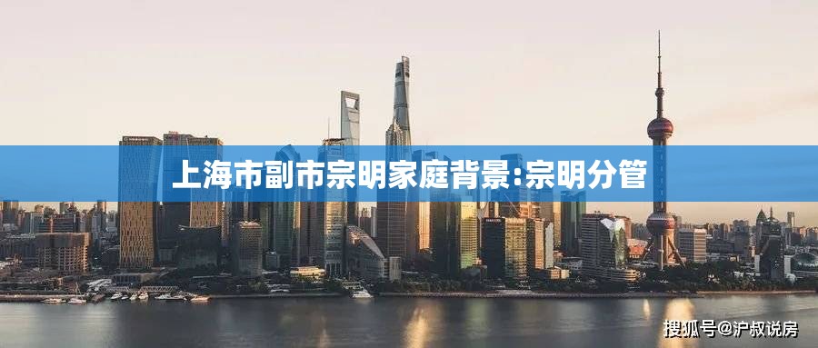 上海市副市宗明家庭背景:宗明分管
