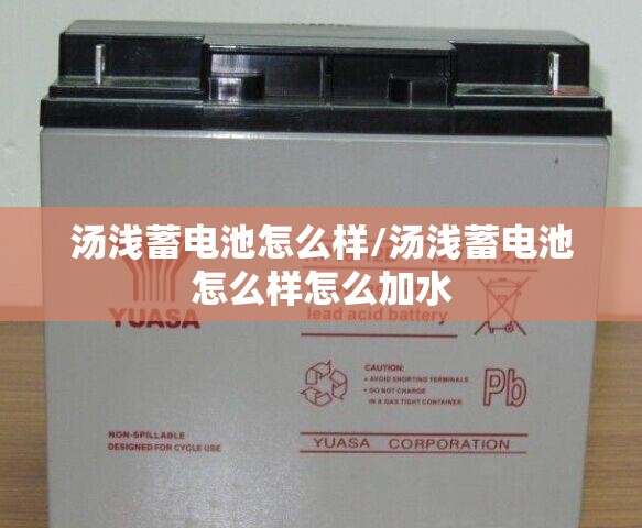 汤浅蓄电池怎么样/汤浅蓄电池怎么样怎么加水 汤浅蓄电池怎么样/汤浅蓄电池怎么样怎么加水