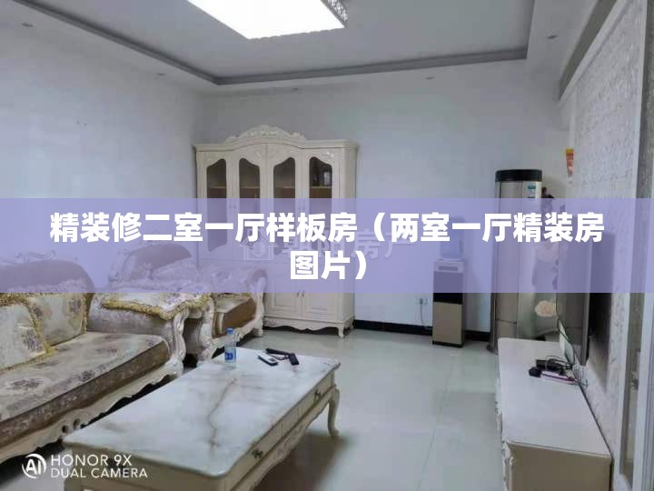 精装修二室一厅样板房(两室一厅精装房图片) 精装修二室一厅样板房(两室一厅精装房图片)