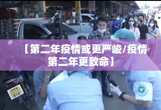【第二年疫情或更严峻/疫情第二年更致命】 【第二年疫情或更严峻/疫情第二年更致命】