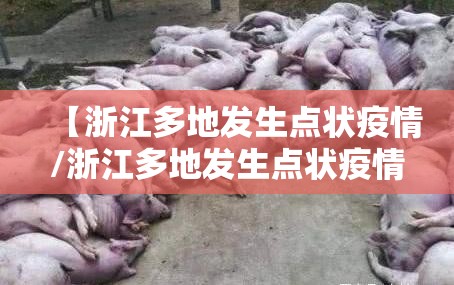 【浙江多地发生点状疫情/浙江多地发生点状疫情是哪一年】 【浙江多地发生点状疫情/浙江多地发生点状疫情是哪一年】