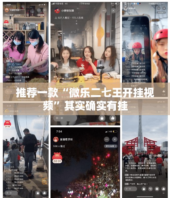 推荐一款“微乐二七王开挂视频”其实确实有挂