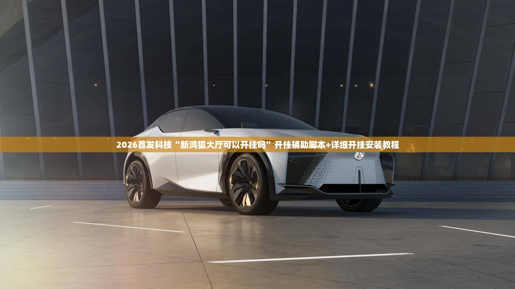 2026首发科技“新鸿狐大厅可以开挂吗	”开挂辅助脚本+详细开挂安装教程