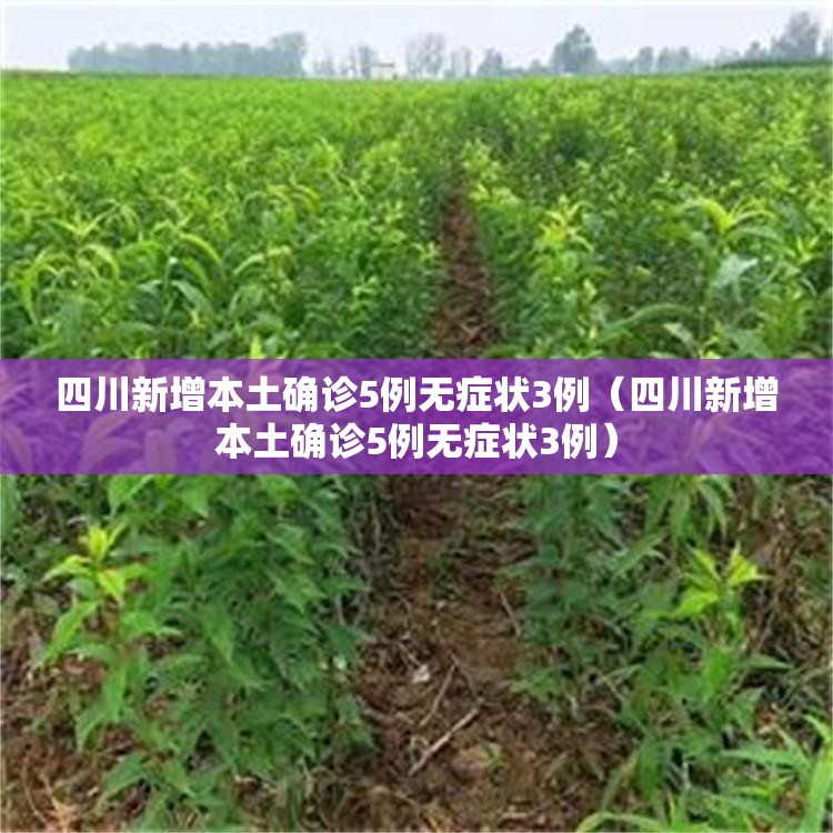 四川新增本土确诊5例无症状3例(四川新增本土确诊5例无症状3例) 四川新增本土确诊5例无症状3例(四川新增本土确诊5例无症状3例)