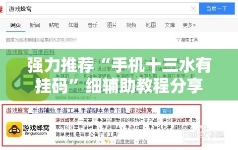 强力推荐“手机十三水有挂码”细辅助教程分享