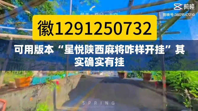 可用版本“星悦陕西麻将咋样开挂”其实确实有挂