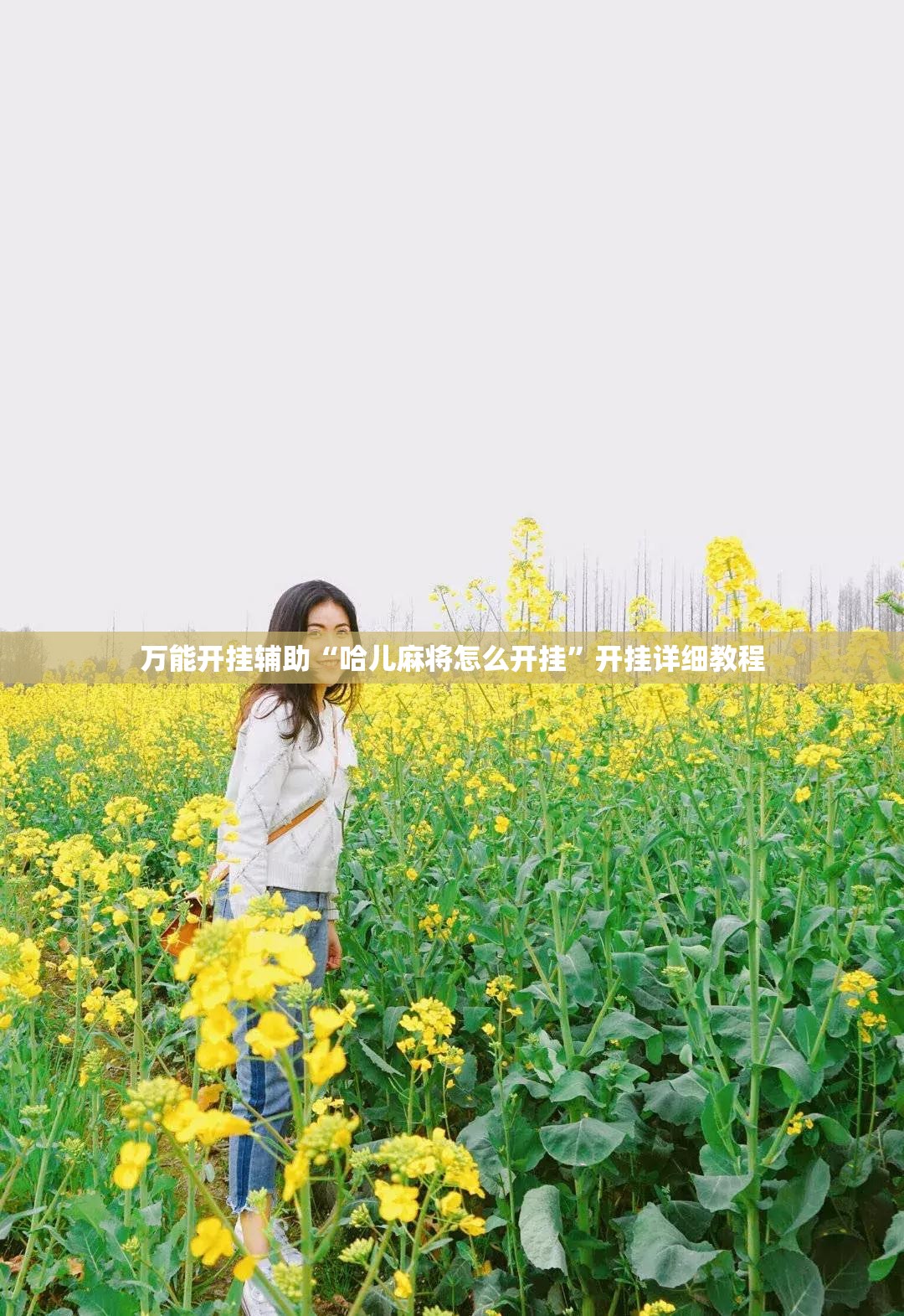 万能开挂辅助“哈儿麻将怎么开挂”开挂详细教程