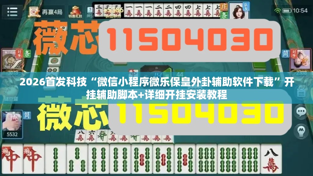 2026首发科技“微信小程序微乐保皇外卦辅助软件下载”开挂辅助脚本+详细开挂安装教程