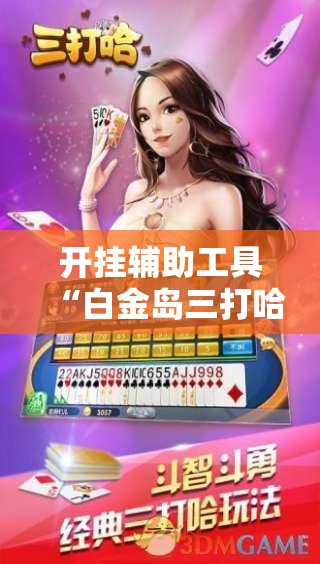 开挂辅助工具“白金岛三打哈开挂教程”开挂详细教程