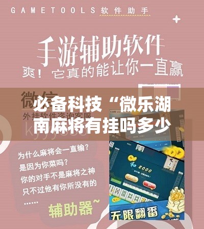 必备科技“微乐湖南麻将有挂吗多少钱	”详细分享装挂步骤