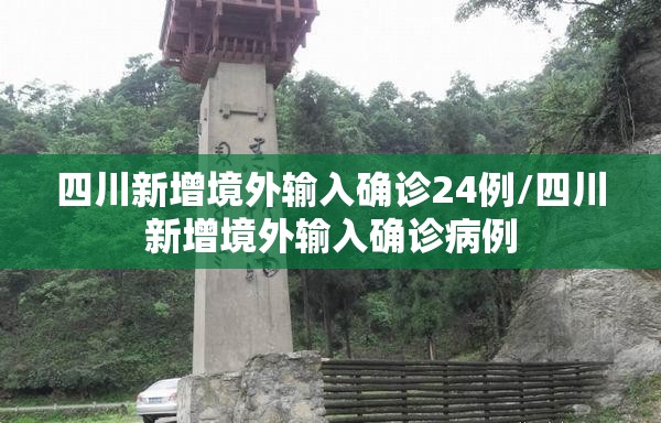 四川新增境外输入确诊24例/四川新增境外输入确诊病例 四川新增境外输入确诊24例/四川新增境外输入确诊病例
