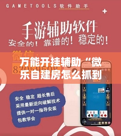 万能开挂辅助“微乐自建房怎么抓到好牌”原来可以开挂
