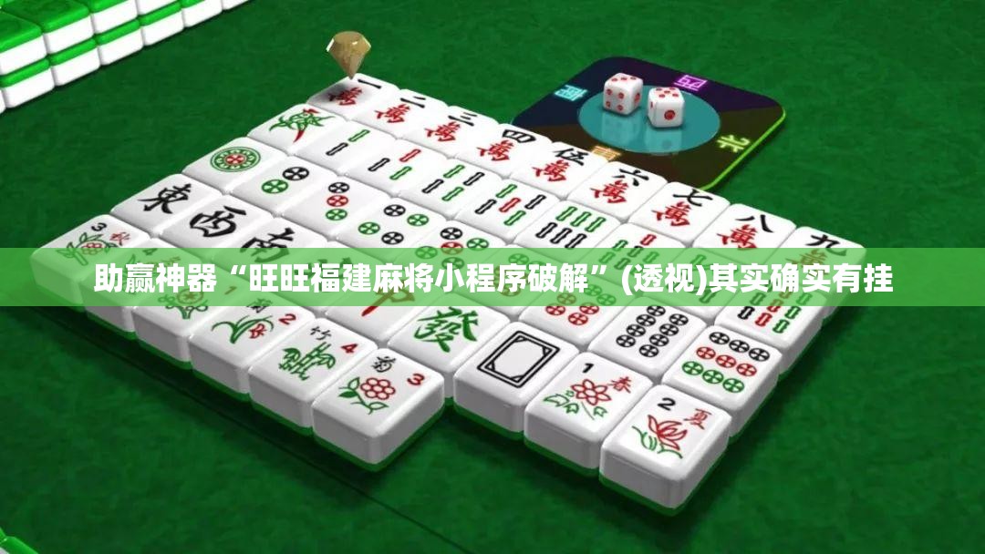 助赢神器“旺旺福建麻将小程序破解”(透视)其实确实有挂