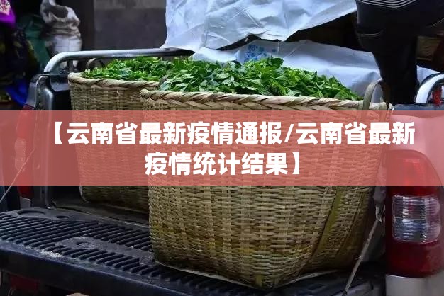 【云南省最新疫情通报/云南省最新疫情统计结果】