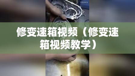 修变速箱视频(修变速箱视频教学) 修变速箱视频(修变速箱视频教学)