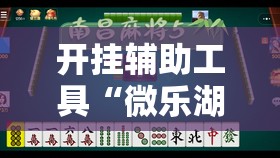 开挂辅助工具“微乐湖南麻将小程序开挂”2026开挂教程步骤