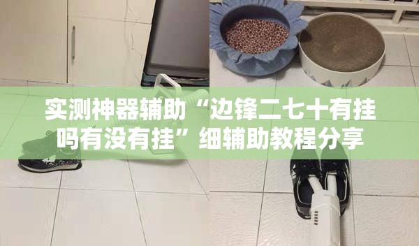 实测神器辅助“边锋二七十有挂吗有没有挂	”细辅助教程分享