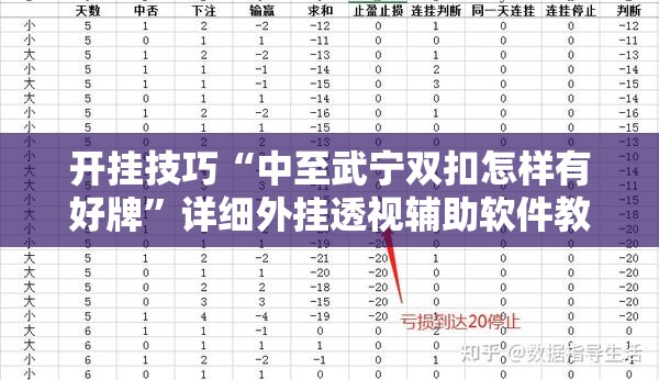 开挂技巧“中至武宁双扣怎样有好牌”详细外挂透视辅助软件教程