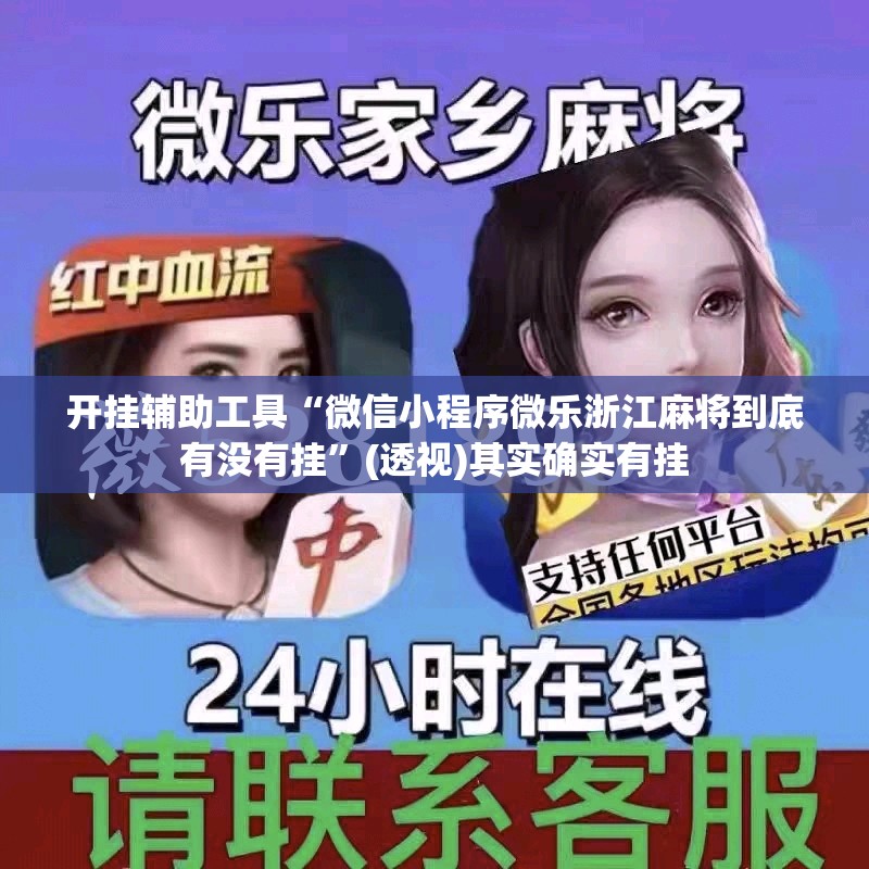 开挂辅助工具“微信小程序微乐浙江麻将到底有没有挂”(透视)其实确实有挂