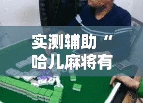 实测辅助“哈儿麻将有挂吗”细辅助教程分享