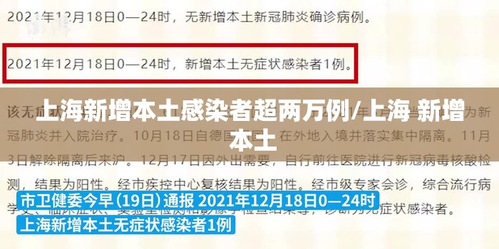 上海新增本土感染者超两万例/上海 新增 本土