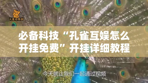必备科技“孔雀互娱怎么开挂免费”开挂详细教程
