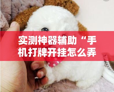 实测神器辅助“手机打牌开挂怎么弄”详细开挂教程