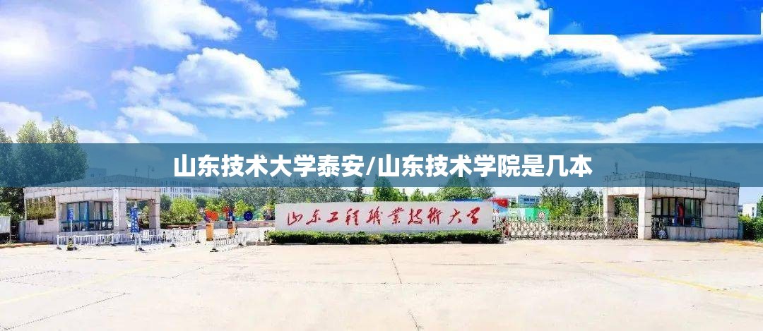山东技术大学泰安/山东技术学院是几本
