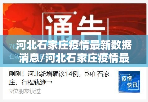 河北石家庄疫情最新数据消息/河北石家庄疫情最新消息昨天 河北石家庄疫情最新数据消息/河北石家庄疫情最新消息昨天