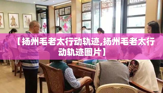 【扬州毛老太行动轨迹,扬州毛老太行动轨迹图片】