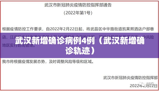 武汉新增确诊病例4例（武汉新增确诊轨迹）