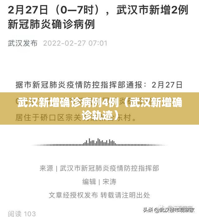 武汉新增确诊病例4例（武汉新增确诊轨迹）