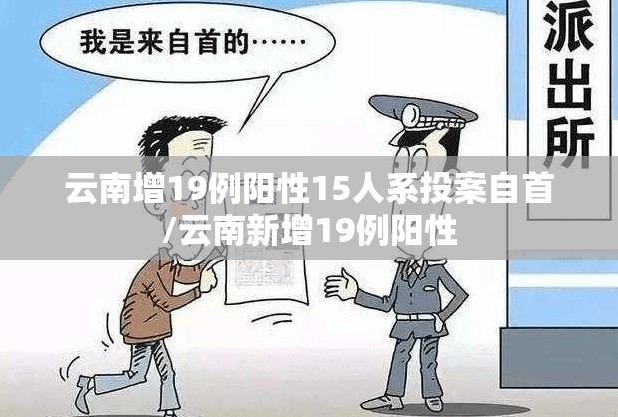 云南增19例阳性15人系投案自首/云南新增19例阳性