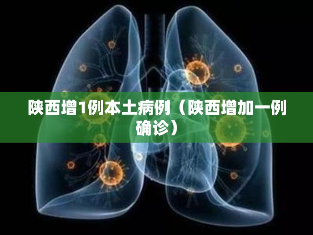 陕西增1例本土病例(陕西增加一例确诊) 陕西增1例本土病例(陕西增加一例确诊)