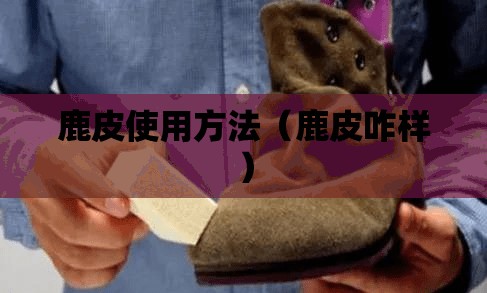 鹿皮使用方法（鹿皮咋样）