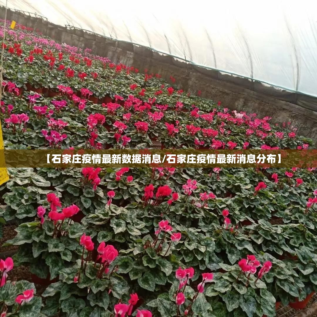 【石家庄疫情最新数据消息/石家庄疫情最新消息分布】